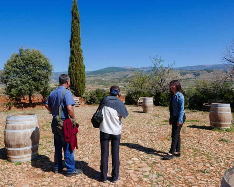 Alpujarra of Almería: Organic Wine tour and local aperitif - The Guided Farm Tour: Vineyards, Olive & Fruit Trees