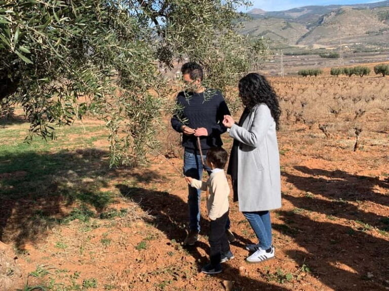 Alpujarra of Almería: Organic Wine tour and vegan aperitif - Detailed Review of the Experience