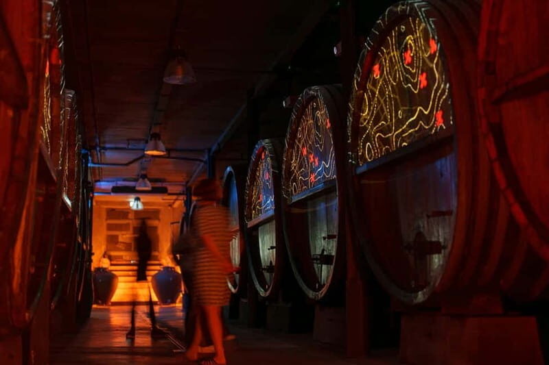 Alsace: Alsatian Wine Tasting Tour and Alsatian Lunch