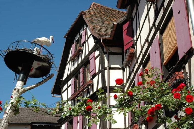 Alsace Half-Day Wine Tour from Strasbourg - The Itinerary Breakdown: What You’ll Experience