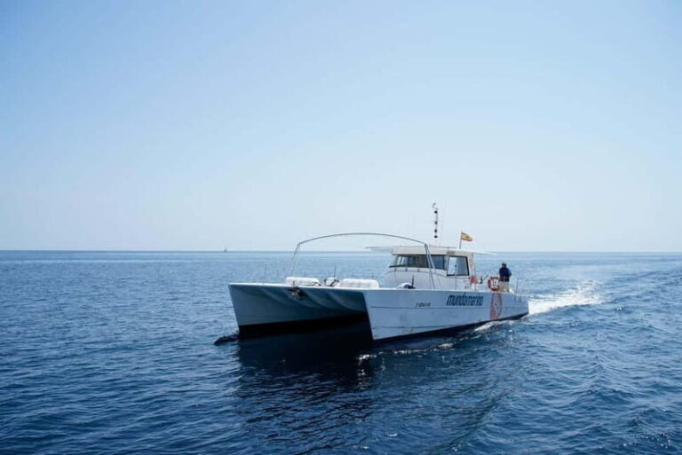 Altea: Motor Catamaran Excursion with swimming stop - Who Would Love This Tour?