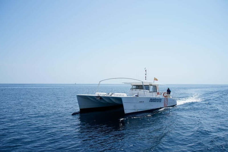 Altea: Motor Catamaran Excursion with swimming stop - Who Would Love This Tour?