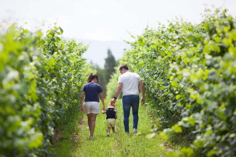 Alvarinho com Alma - The Itinerary: Your Short but Sweet Wine Journey