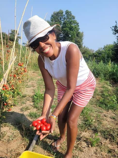 Amalfi: Grow your own vegetables and enjoy lunch with wine - Why This Tour Is Worth It