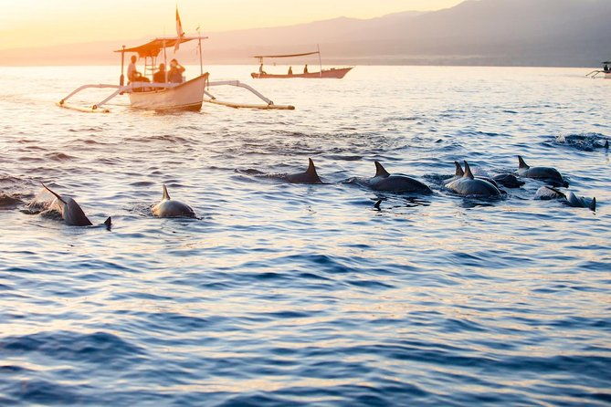 Amazing Private Tours: Dolphins Lovina and Gitgit Waterfall include Lunch - Key Points