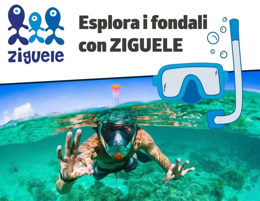 AMP Portofino: Naturalistic Snorkeling - Key Points