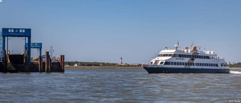 Amrum: Day trip by boat to Hallig Hooge - Exploring Hallig Hooge: What You Can Expect