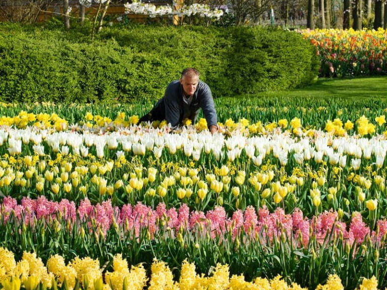 Amsterdam: Keukenhof Entry & Shuttlebus with Flexible Return - The Keukenhof Experience: What to Expect Inside