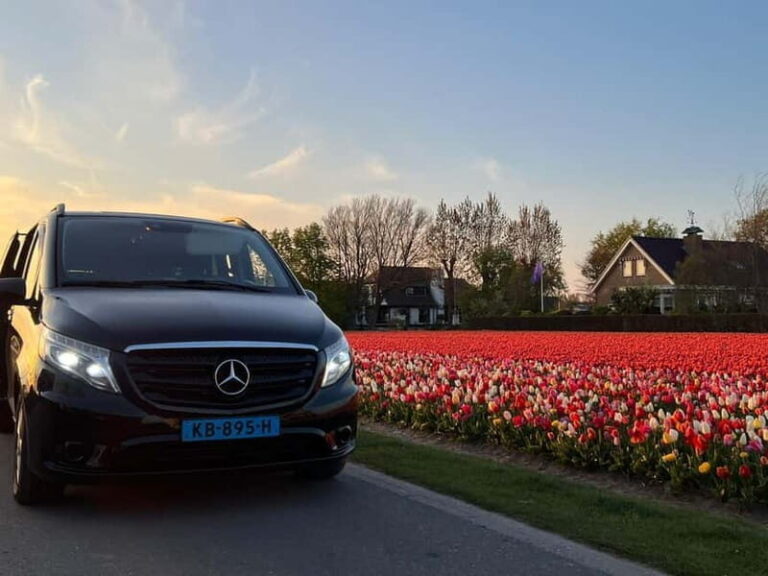 Amsterdam: Private Tour to Keukenhof & Free Tulip Experience - What to Expect from This Tour