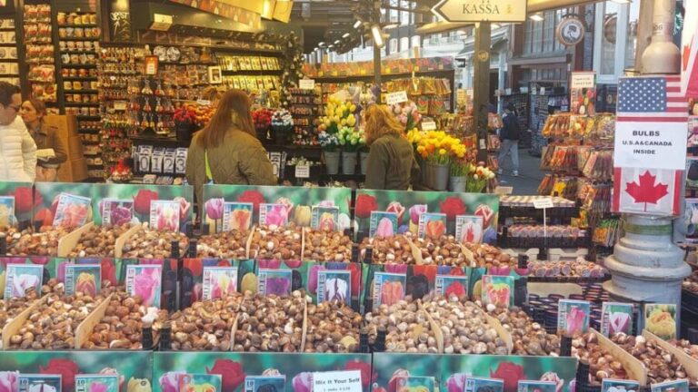 Amsterdam Shore Excursion: Highlights Walk & Canal Cruise - What Makes This Tour a Good Value