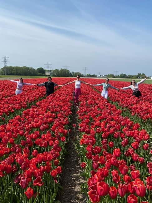 Amsterdam: Tulip Farm Visit, Keukenhof, and Windmill Cruise - Practical Tips for the Tour