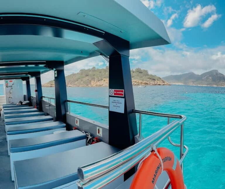 Andratx: Private cruise with skipper included along the coast of Andratx - What Makes This Tour Special?