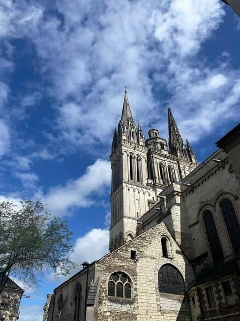 Angers: discovering the historic center - Who Will Love This Tour?