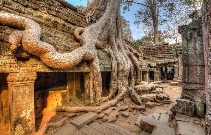 Angkor Temple Sunrise Full-Day Tour (Group Tour by Minivan) - Key Points