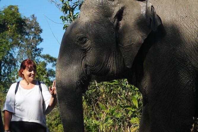 Angkor Wat Temples & Kulen Elephant Forest Day Tour - Discovering the Magic of the Angkor Wat & Kulen Elephant Forest Day Tour