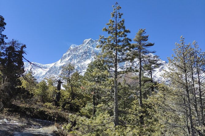 Annapurna Base Camp Trek 10 Days - Introduction