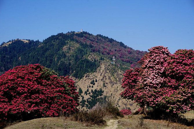 Annapurna Base Camp trek - The Itinerary and What You Can Expect