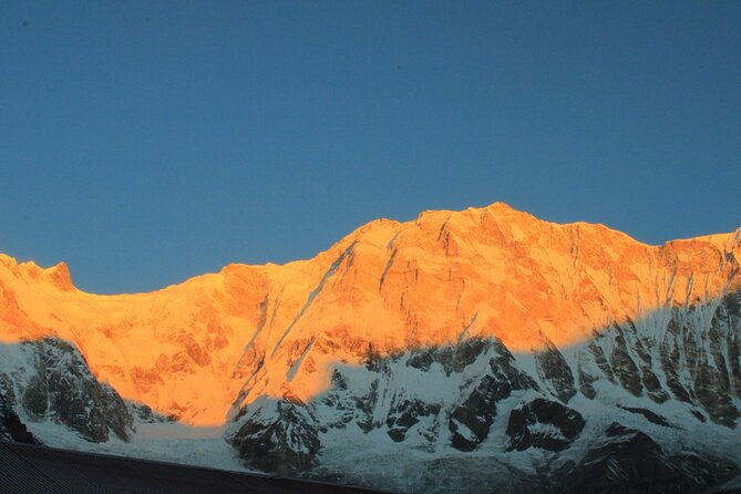 Annapurna Base Camp Trekking 09 Days - The Experience: What to Expect From the Trek