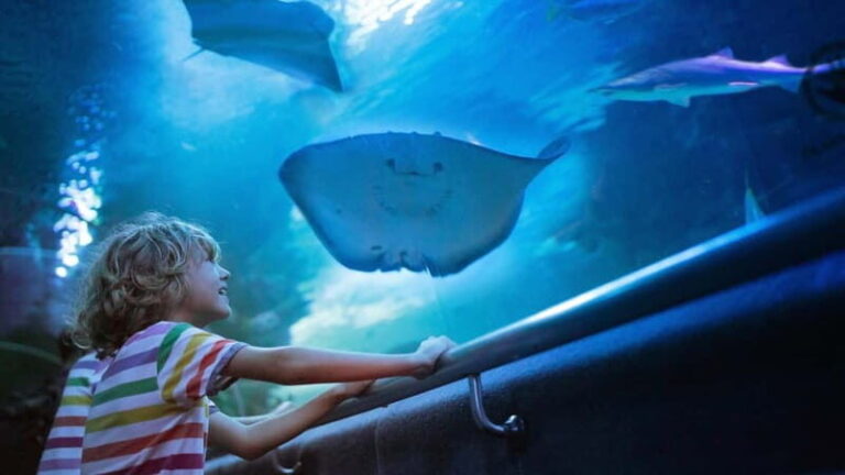 Antalya: Aquarium, Wax Museum, Snow World, Wild Park - Exploring Antalya Aquarium: The Main Attraction