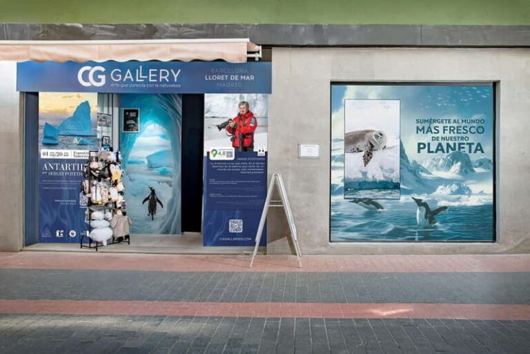 Antarctica Interactive Experience - What to Expect from the Tour