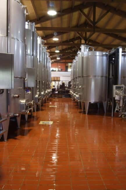 Antica Masseria Venditti: guided visit to the winery with wine tasting