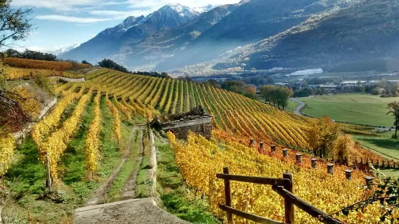 Aosta Valley: Visit and wine tasting at the Grosjean winery - Exploring the Grosjean Winery Tour in Aosta Valley