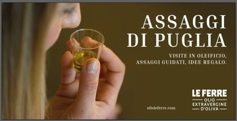 Apulia: oil tour, from field, to bottle, to food matching - Visiting the Oil Mill and Packaging Facility