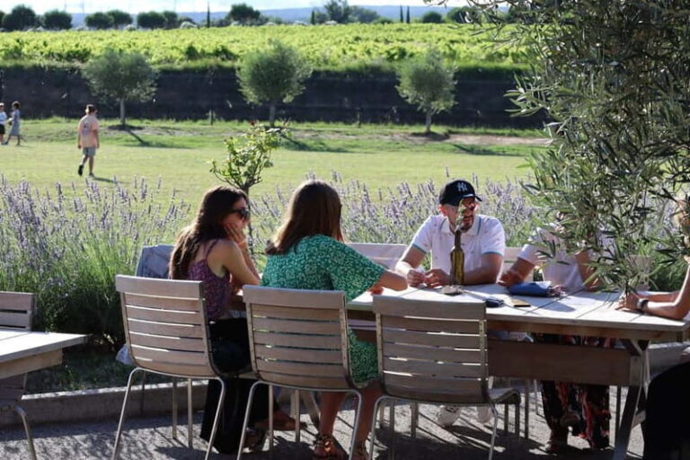 Ardèche: Tour and tasting of wines aged in amphorae and barrels - What the Reviews Say
