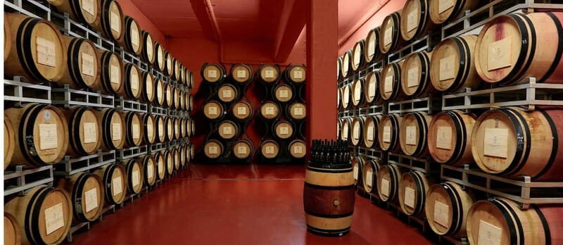 Arezzo Experience: Winery Tour and Wine Tasting - Who Is This Tour Best Suited For?