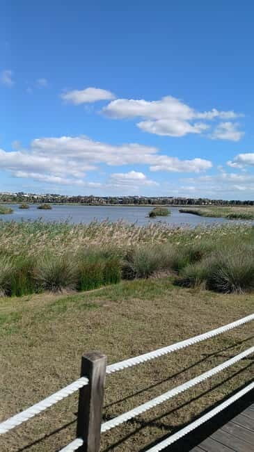 Armação de Pera: Salgados Natural Park E-Bike Tour - A Detailed Breakdown of the Tour Experience
