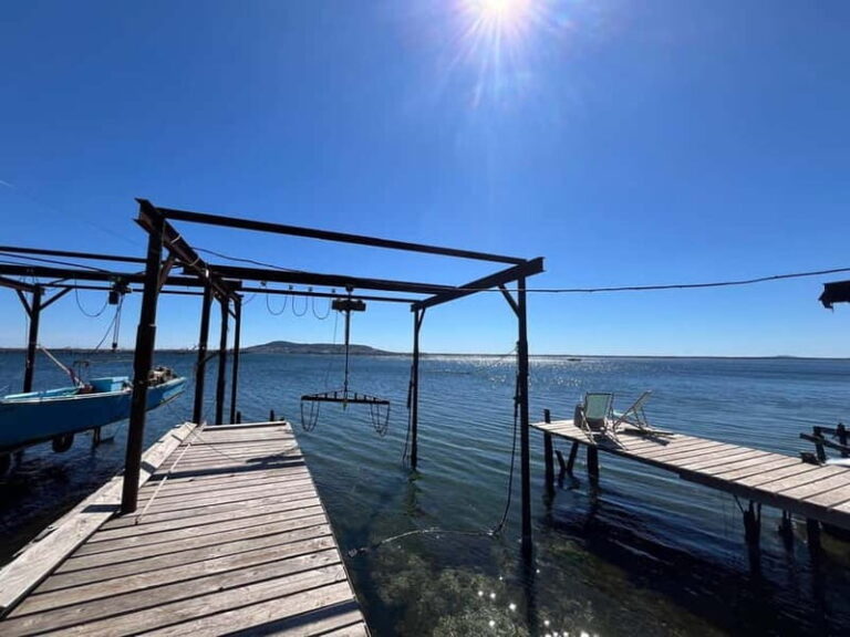 Around the Thau lagoon - tours and tastings - The Itinerary Breakdown