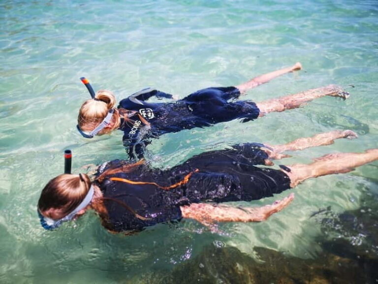 Arrábida: Kayaking and Snorkeling Experience - The Guides and Group Experience