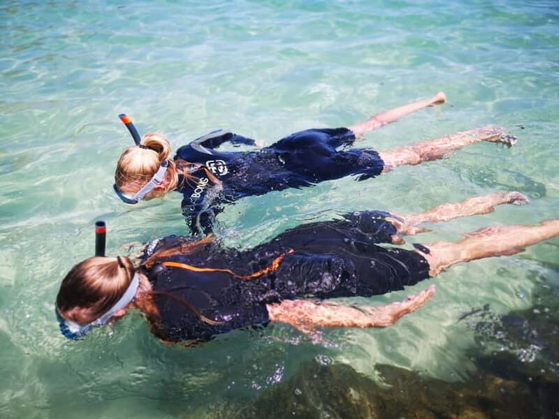 Arrábida: Kayaking and Snorkeling Experience - The Guides and Group Experience