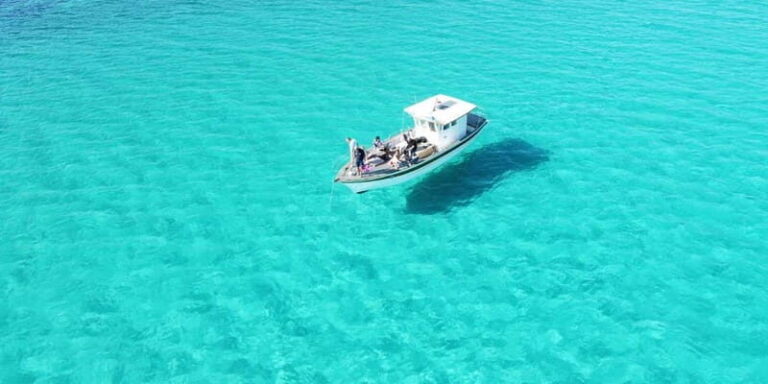 Asinara by Boat: Half-Day Morning Tour among crystal clear waters - The Route and Its Highlights