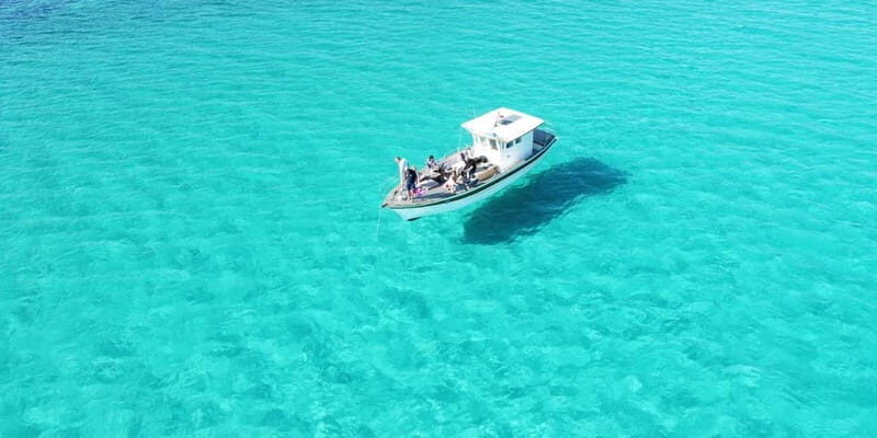 Asinara by Boat: Half-Day Morning Tour among crystal clear waters