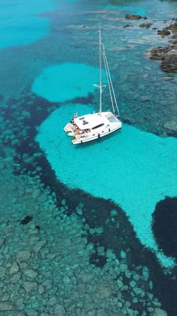 Asinara: Tour catamaran asinara island with lunch