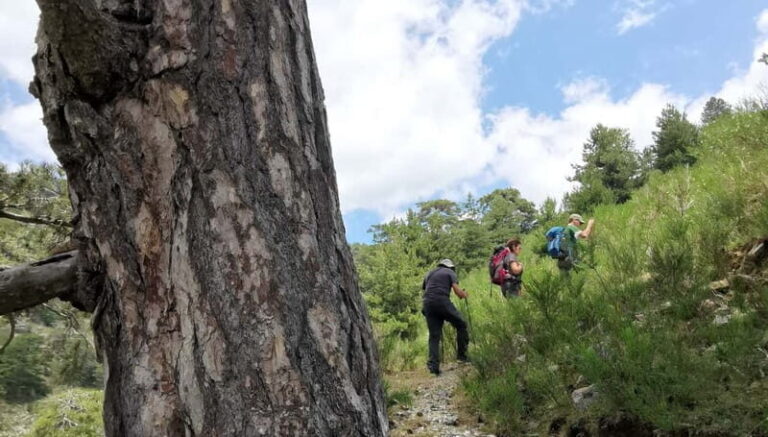 Aspromonte National Park: Private Trek to the Maesano Falls - Exploring Aspromonte National Park: What to Expect
