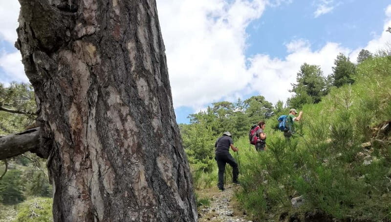 Aspromonte National Park: Private Trek to the Maesano Falls - Exploring Aspromonte National Park: What to Expect