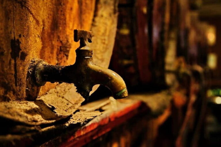 Athens: Brandy & Tsipouro Tasting - A Closer Look at the Athens Brandy & Tsipouro Tasting Experience