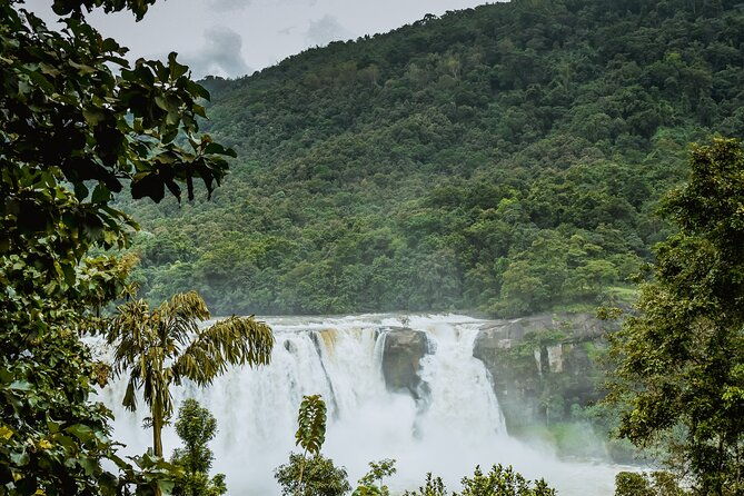 Athirapally Waterfalls from Cochin - A Deep Dive into the Athirapally Waterfalls Experience