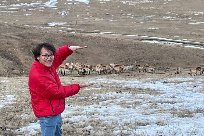 Authentic Mongolian two days tours in Terelj & Khustai National P - Key Points  
