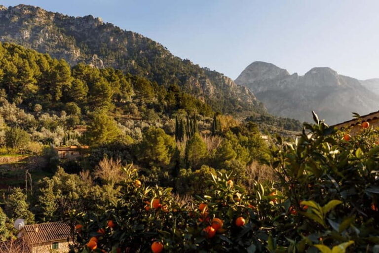 Authentic Vall de Sóller: Day Trip - A Detailed Look at the Vall de Sóller Day Trip
