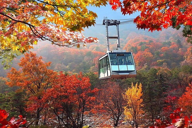 Autumn Foliage-Mt. Seorak, Sokcho Beach, Market, Observatory - Exploring Korea’s Fall Foliage and Coastal Charm: A Complete Review of the Mt. Seorak & Sokcho Tour