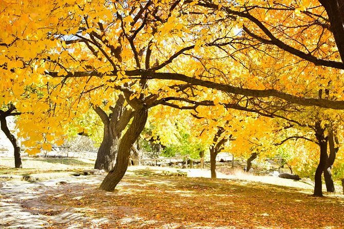 Autumn Trip to Hunza Valley & Skardu- Pakistan - (12D 11N) - Discover the Beauty of the 12-Day Autumn Trip to Hunza Valley & Skardu, Pakistan