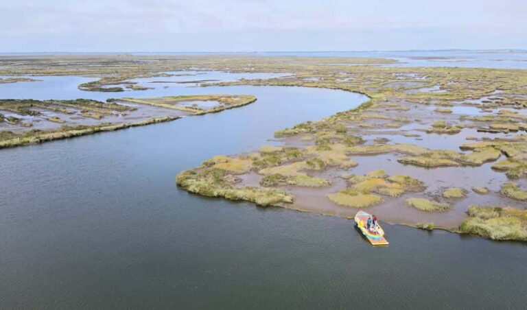 Aveiro: Ria Highlights Boat Tour - Discovering Aveiro’s Waterways: A Complete Overview
