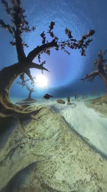 Ayia Napa: Musan Underwater Museum Scuba Dive with Transfer - What to Expect During the Tour