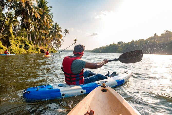 Backwater Kayaking Experience - Exploring Goa’s Tranquil Backwaters: What to Expect