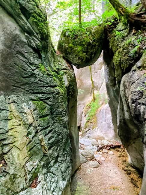 Bad Goisern: Intermediate Canyoning Tour With Epic Rappels - Introduction to the Experience