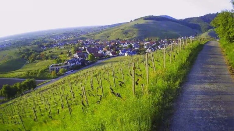 Baden-Baden: Private e-Mountainbike Tour with local Guide - Itinerary Breakdown and Highlights
