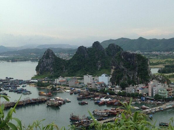 Bai Tu Long Bay Boutique Cruise: Visit Bai Tu Long bay & Overnight boat in 2 day - Key Points